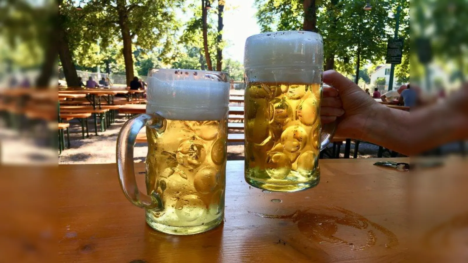 Prost! (Foto: W. Stöckert)
