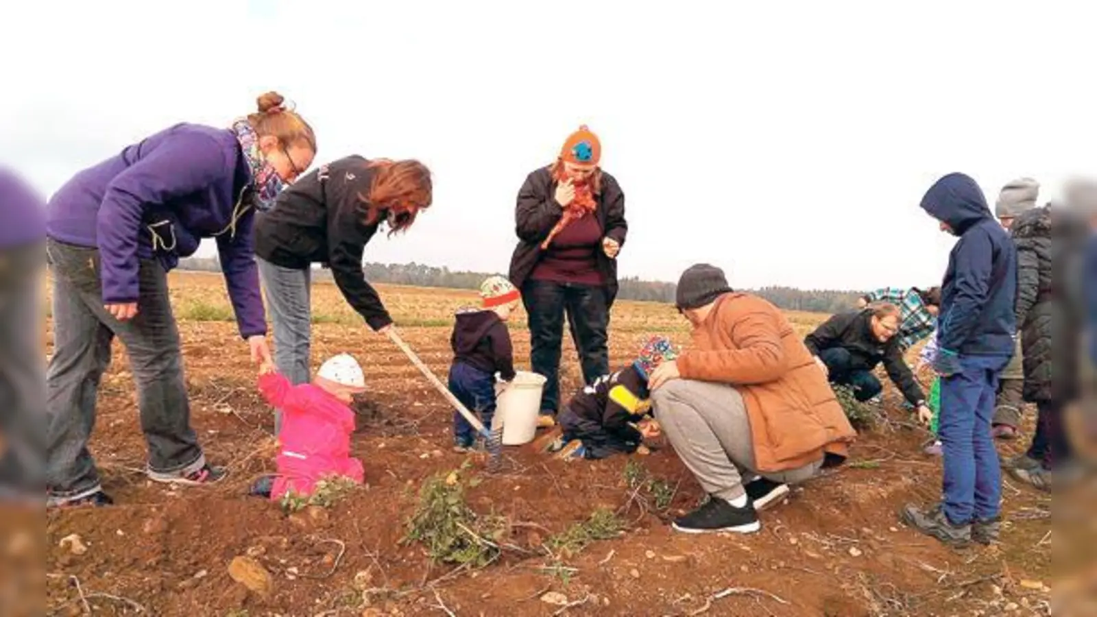 Auf dem Feld von Landwirt Georg Bockmaier wurden fleißig Kartoffeln ausgegraben.	 (Foto: privat)