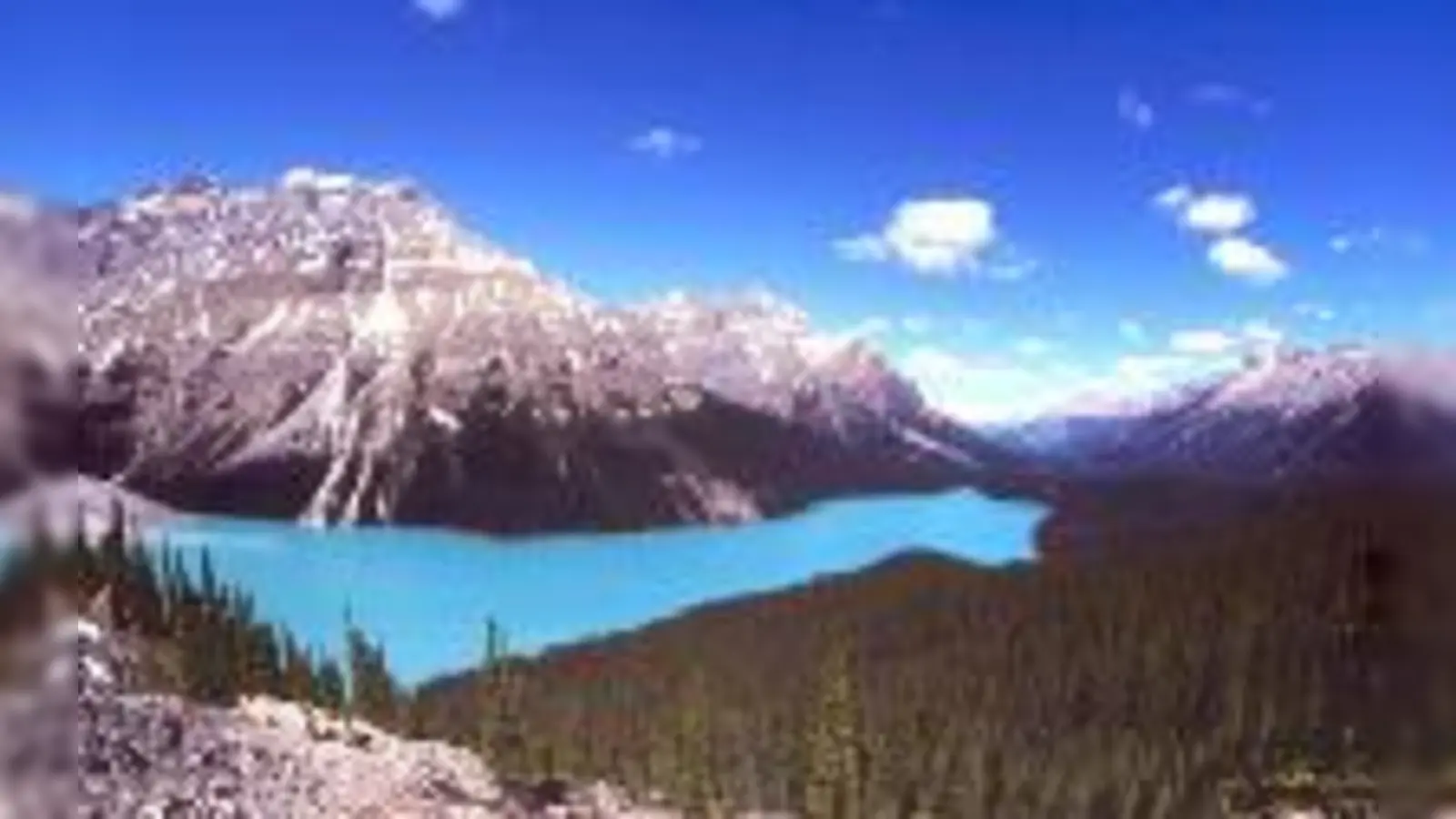 Faszinierende Bilder gibts in der  (Diashow.Foto: VA)