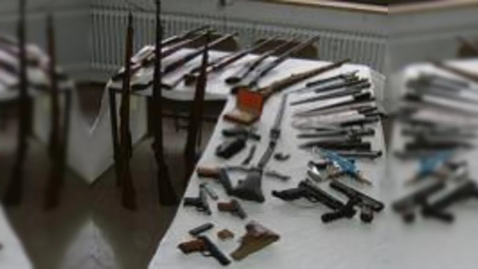 Beachtliches Waffenarsenal  der Fund stammt aus Moosach.	  (Foto: Polizei)