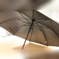 Auch die Regenschirmpoeten treffen sich nach der Winterpause wieder am Mittwoch im Gleis 1.  (Foto: mha)