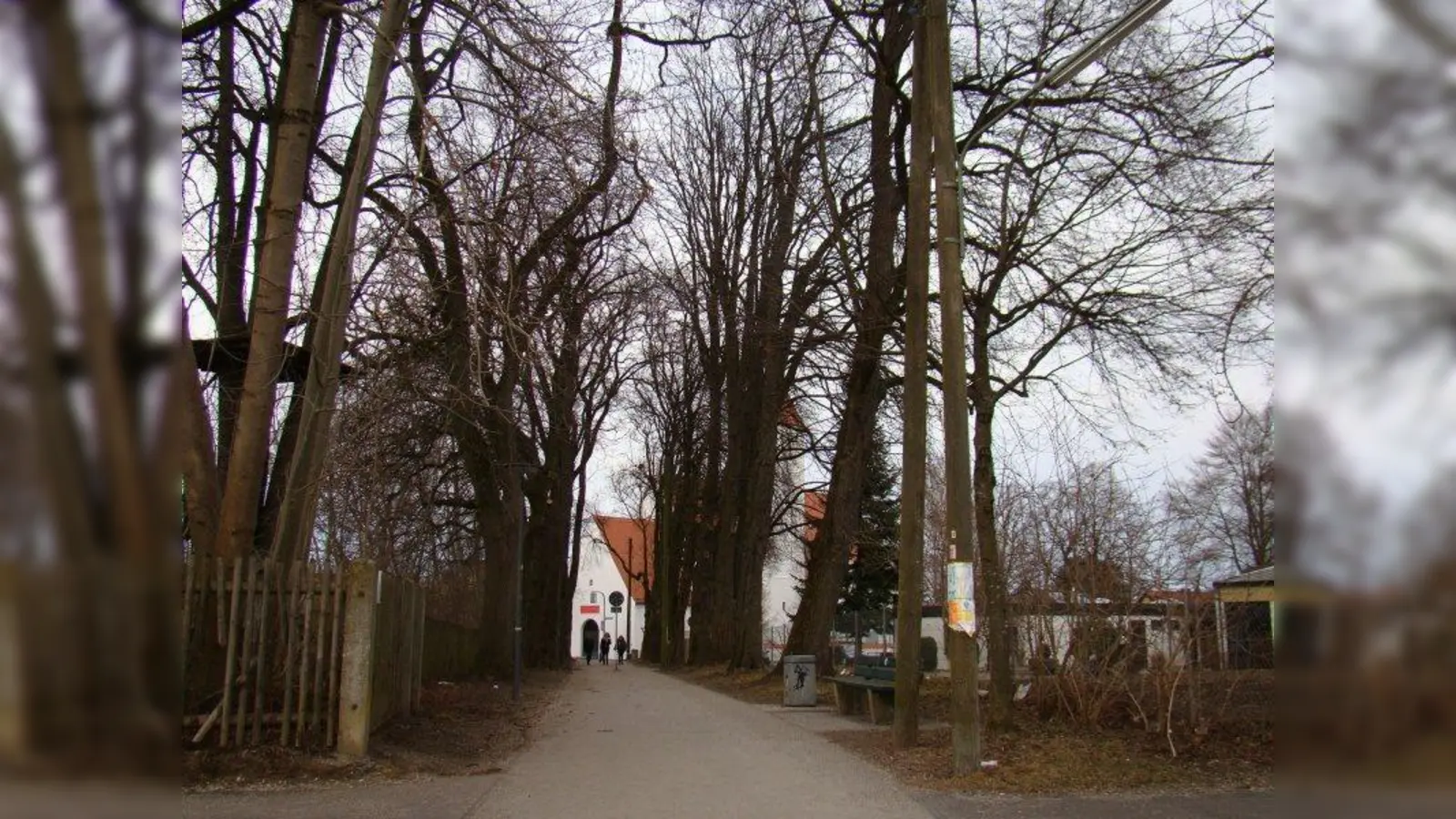 Bäume sind nicht nur für die Umwelt gut, sondern bilden auch einen optischen Blickfang. (Foto: pst)