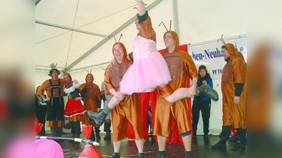 So groß können kleine Flöhe sein: Das Männerballett des FCN hatte sich in dieser Faschingssaison in einen Flohzirkus verwandelt. (Foto: bb)