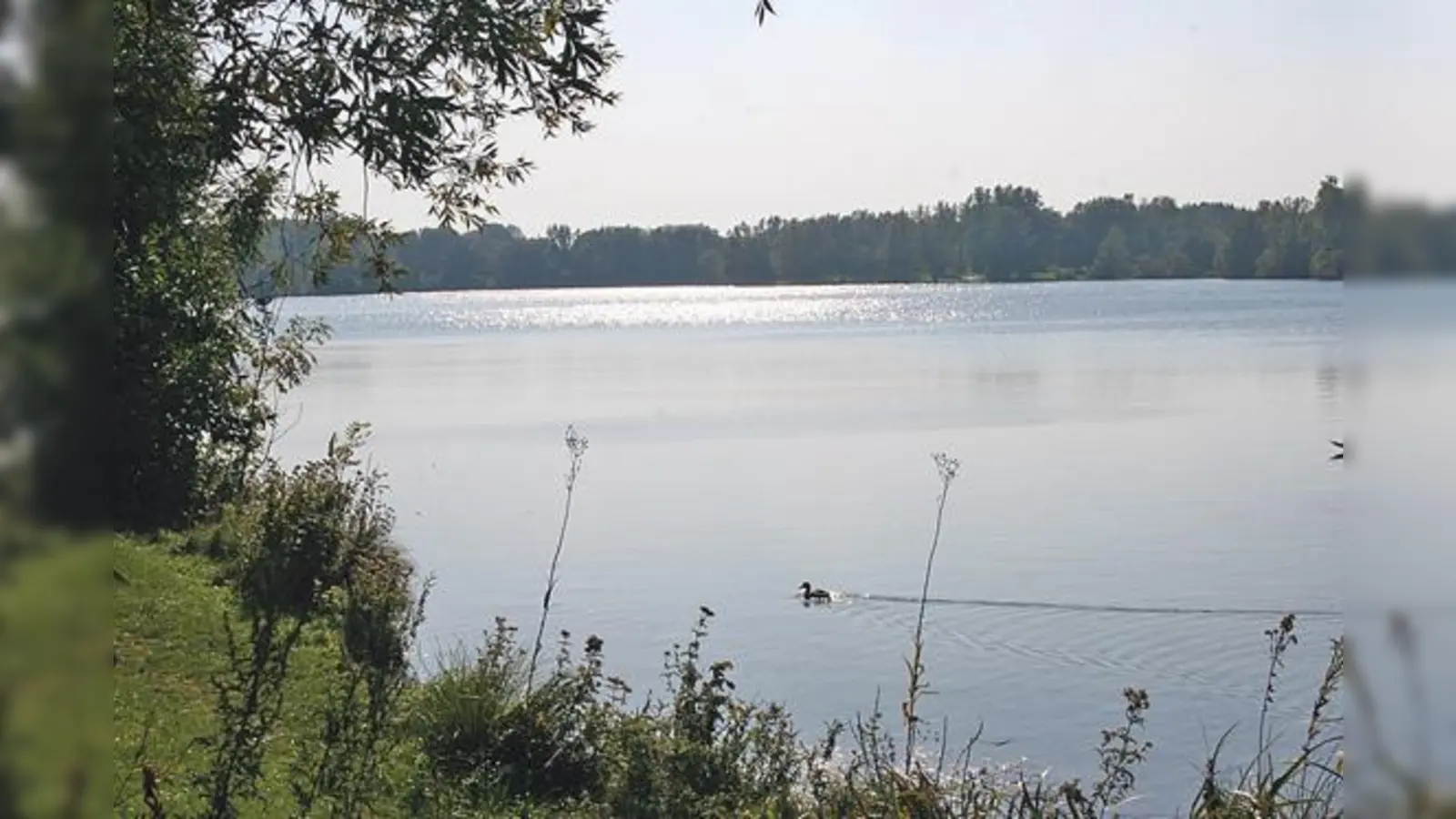 Der Feldmochinger See ist nach Angaben der Stadtverwaltung hygienisch unbedenklich  wie alle anderen Badeseen im Stadtgebiet auch.	 (Foto: Archiv)