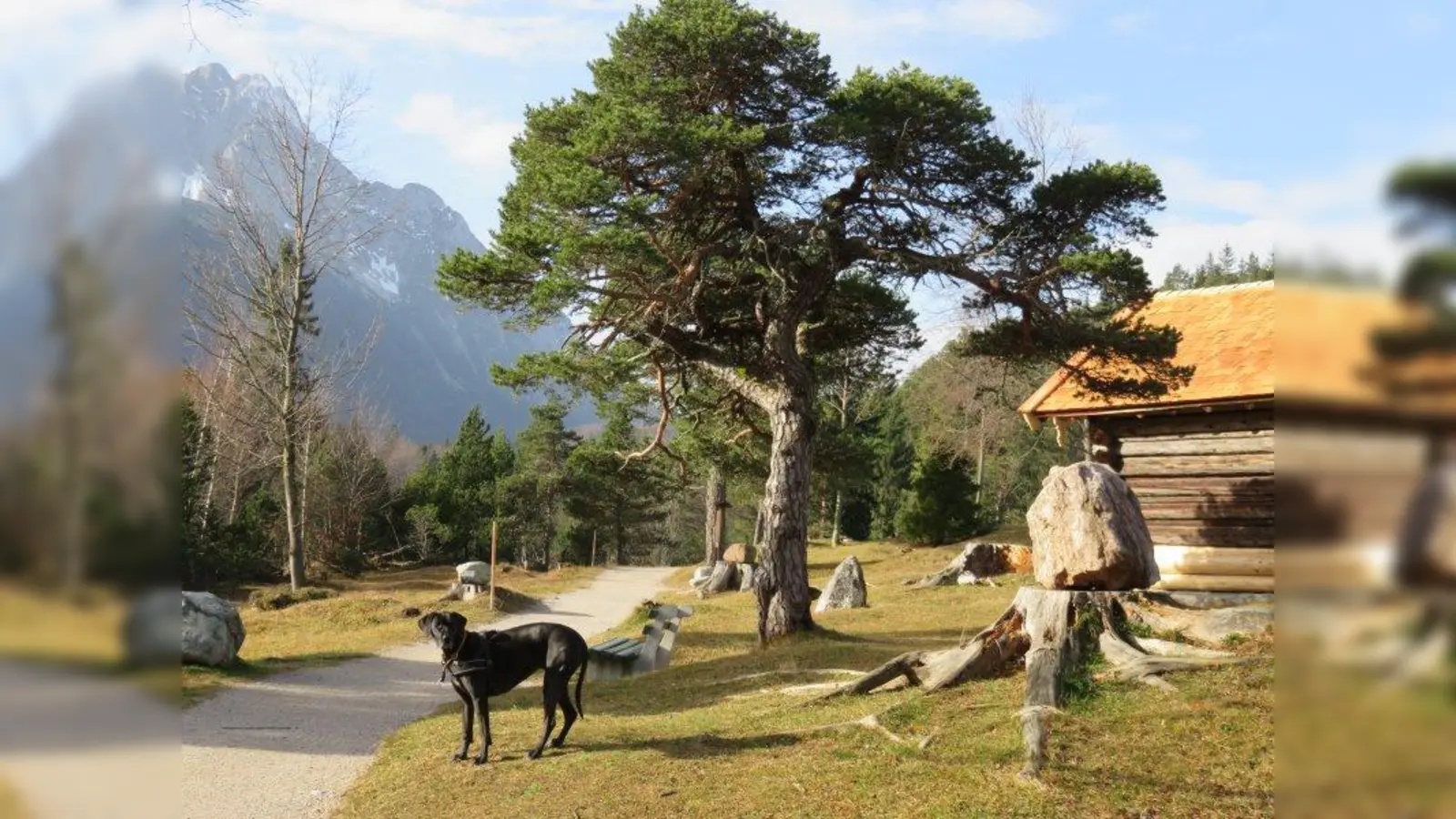 Hündin Leoni begleitete Sonja Ullrich auf ihrer Tour und hatte dabei viel Spaß. (Foto: Sonja Ullrich)