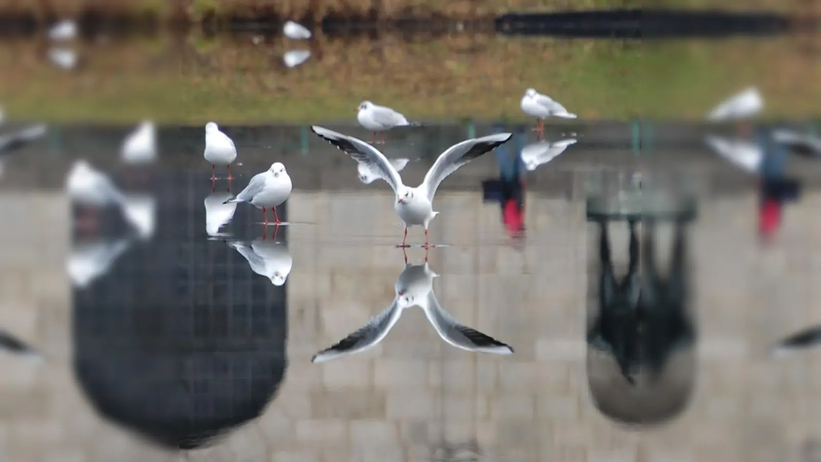 Foto: Vitus Maria Huber / Pixelio