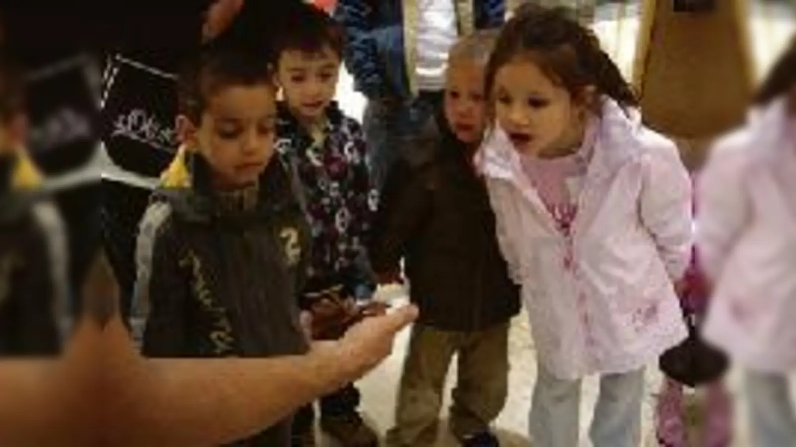 Keine Angst  wer raus darf aus dem Terrarium, ist auch nicht wirklich  (gefährlich.Foto: VA)