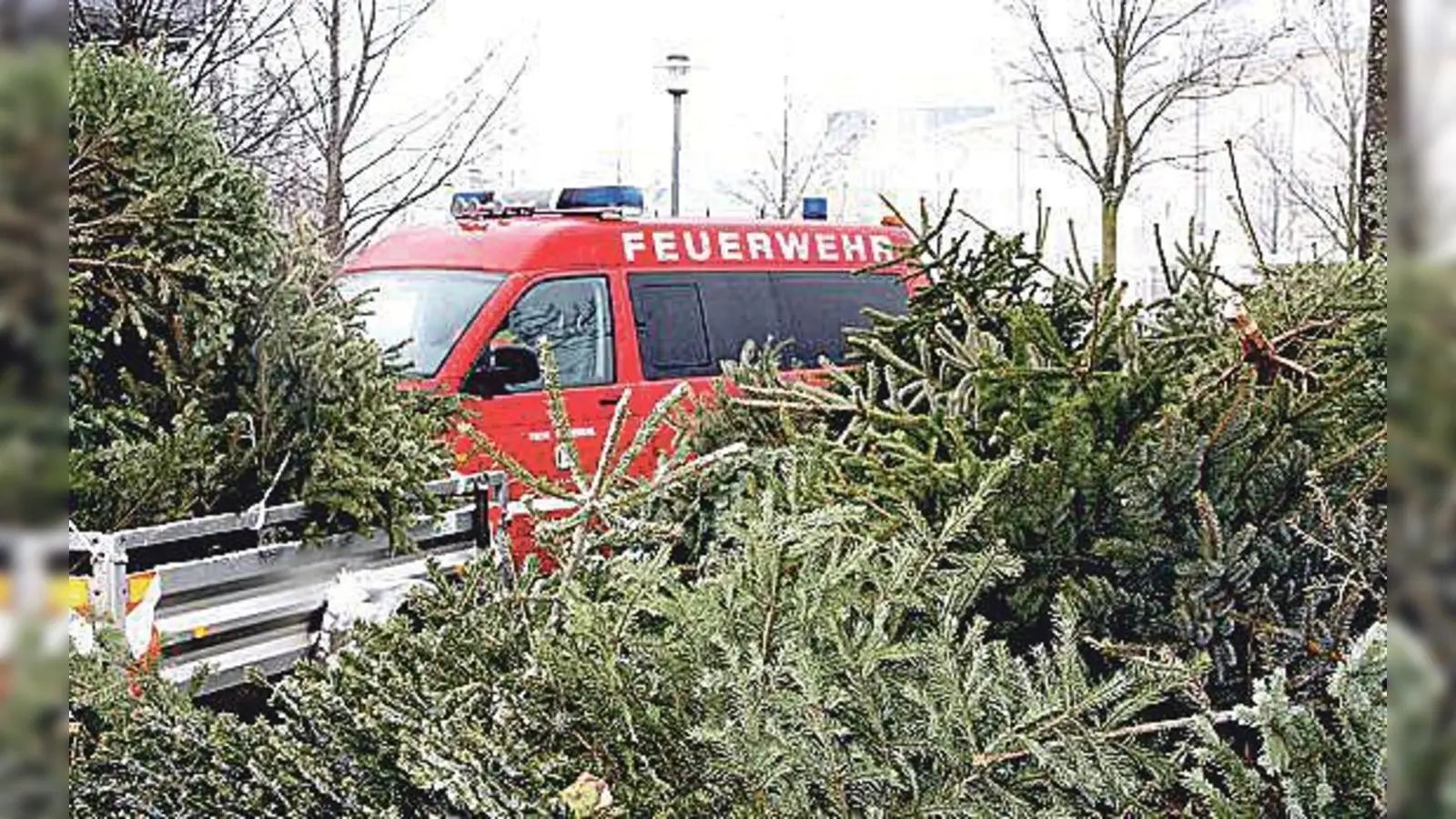 Seit über 20 Jahren sammelt die Haarer Feuerwehr die ausgedienten Christbäume und Gestecke ein. 	 (Foto: privat)