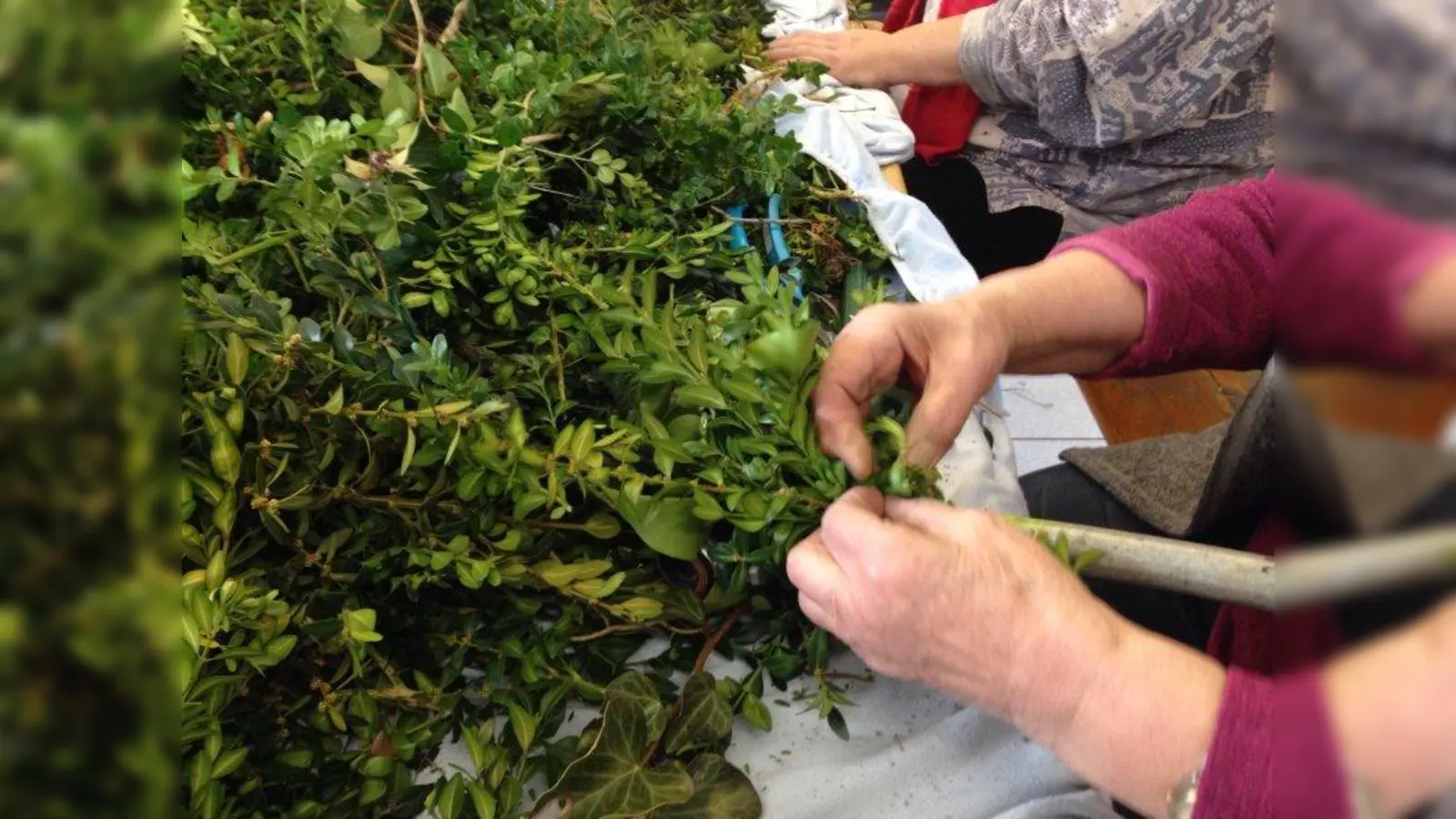 Die Buchsbaum- und Thujenzweige werden zuerst auf die Eisenstangen gebunden. (Foto: pst)
