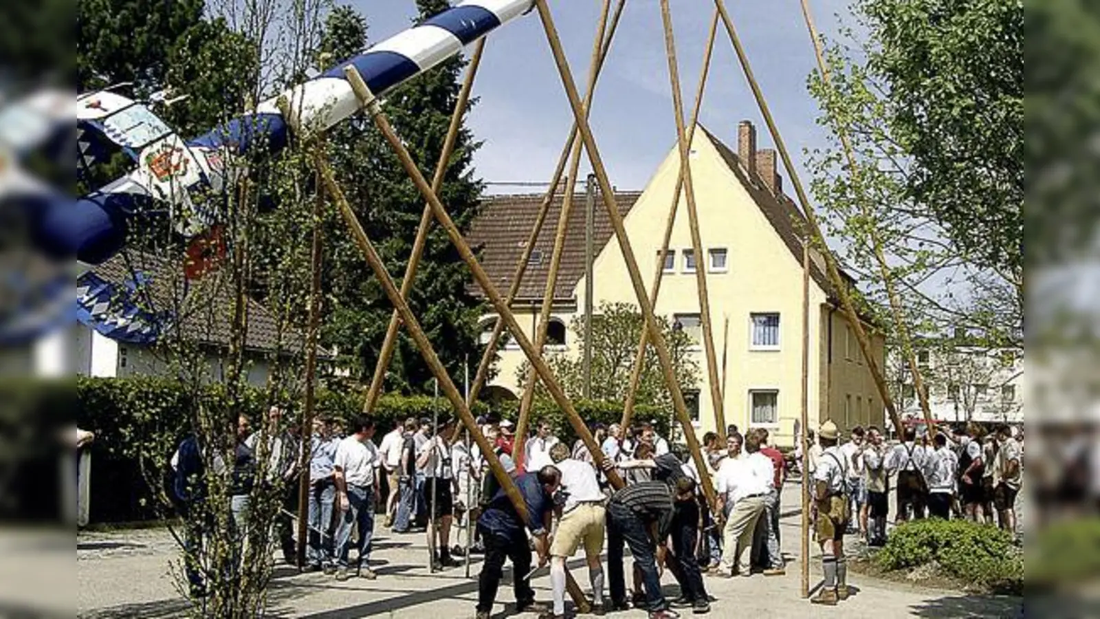 Ehe der stolze Baum am 1. Mai mit Muskelkraft im Herzen Kirchseeons aufgestellt wird, ist noch viel Arbeit notwendig.  (Foto: Aktion Maibaum Kirchseeon)