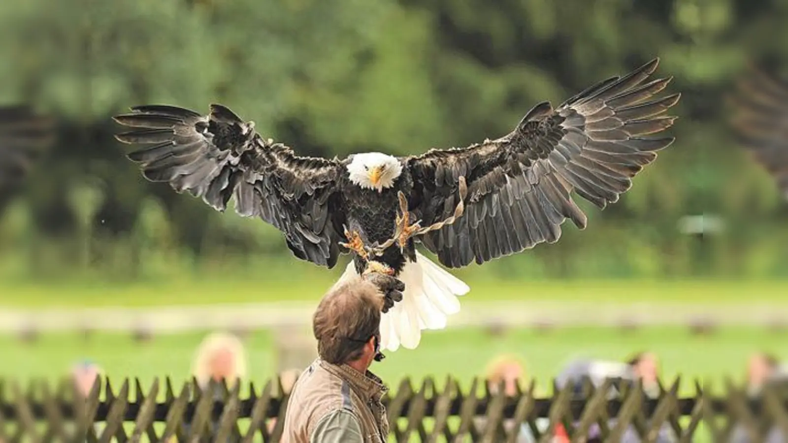 »Urlaub dahoam«  Ebersberg und das Umland bieten eine Vielzahl an tollen Momenten und Erlebnissen.	 (Foto: Wildpark Poing)