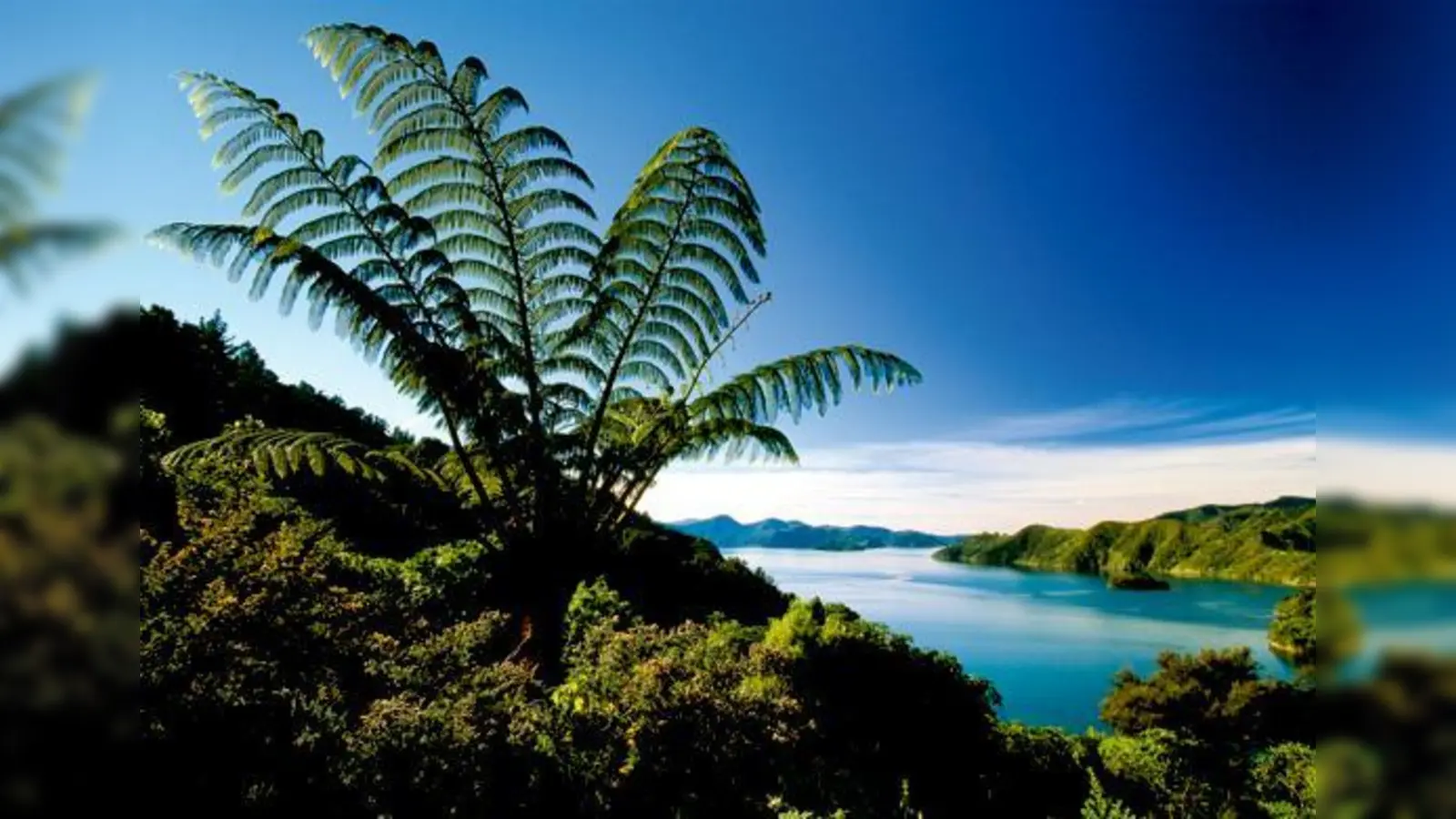 Über die Schönheiten Neuseelands berichtet Dirk Bleyer in einem Dia-Vortrag.	 (Foto: VA)