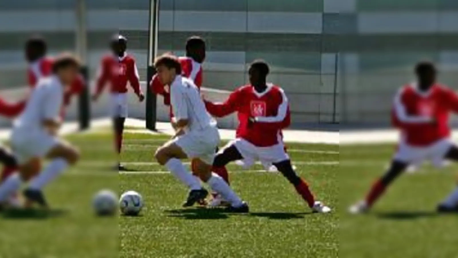 Superina (links) und Rehbein (vorne) hier noch zusammen.   (Foto: Verein)
