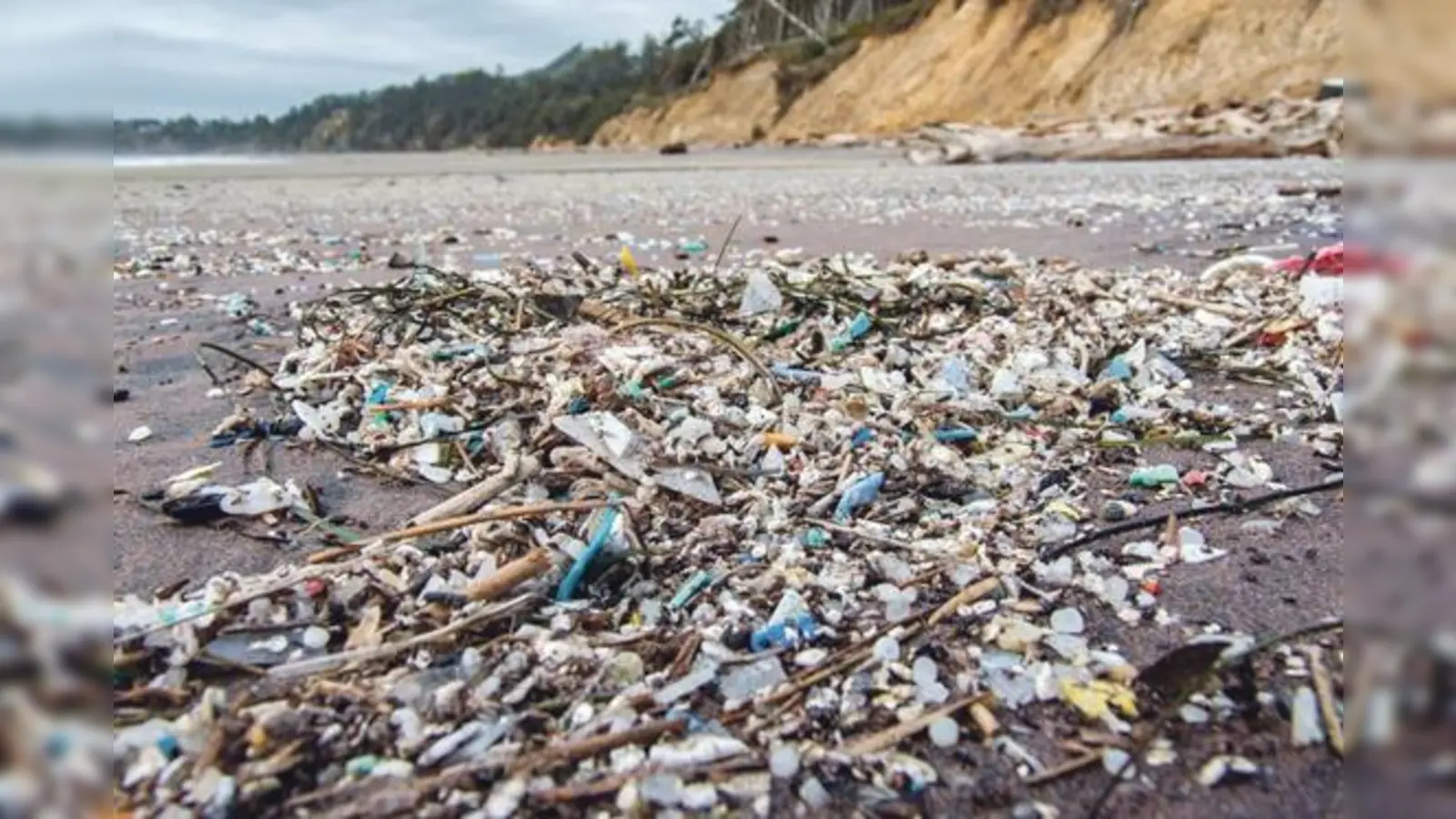 Und täglich wird es mehr! Haufenweise Plastikmüll an der Küste von Oregon.	 (Foto: VA)