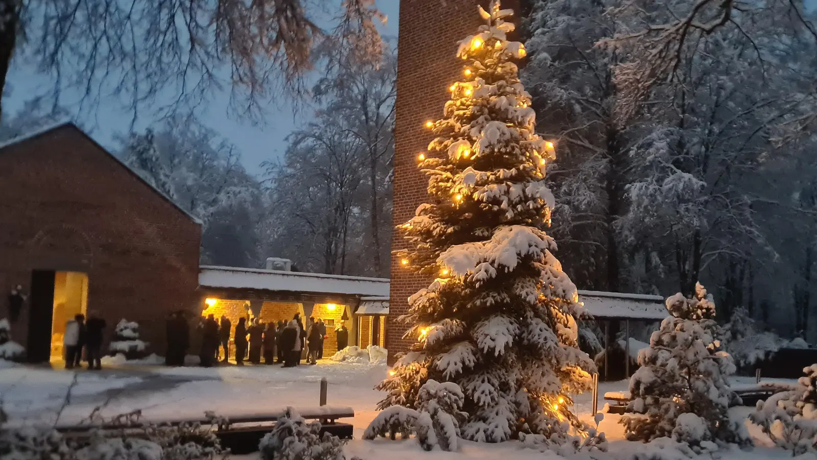 Der Haarer Waldfriedhof verwandelt sich wieder in eine stimmungsvolle Kulisse für den musikalischen Start in die Adventszeit. (Foto: Stadt Haar)