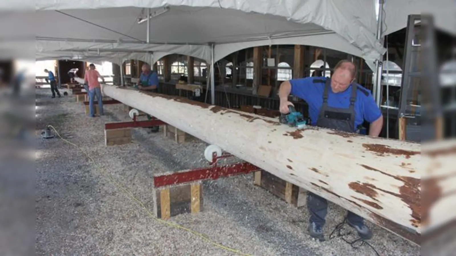 Der Ebersberger Maibaum wurde gleich nach seiner Ankunft am Wochenende bearbeitet.  	 (Foto: Doris Lang)