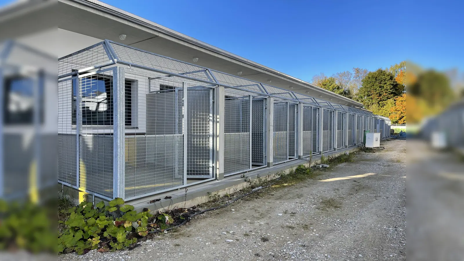 Das neue Hundehaus hat sogar kleine Terrassen, die es den Hunden ermöglichen, sich draußen hinzulegen. (Foto: Tierheim München)