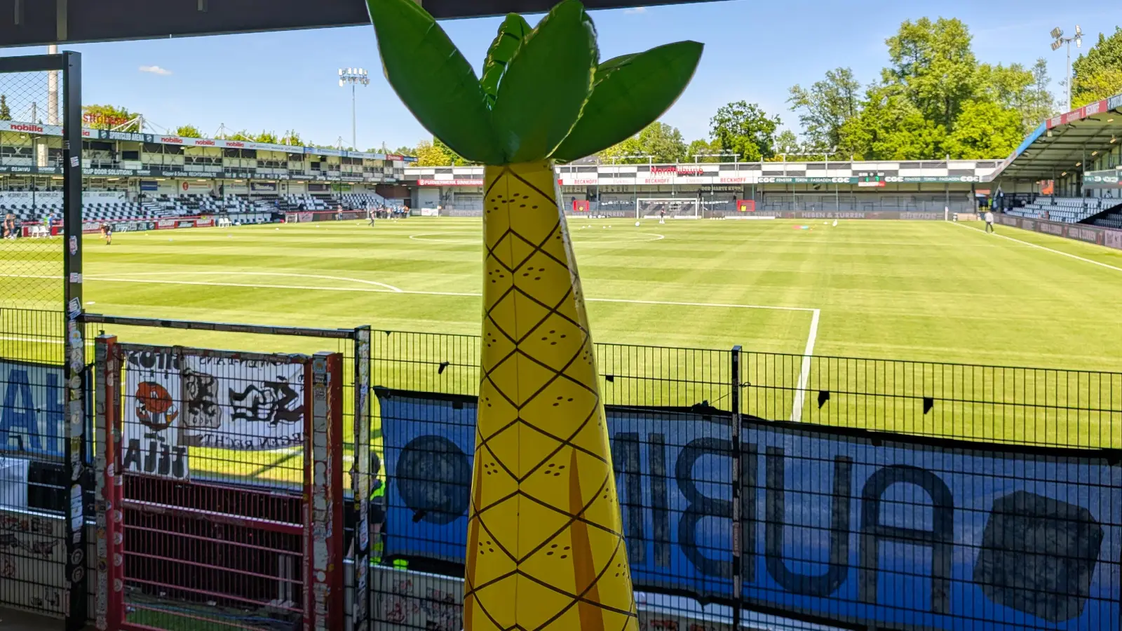 Unter Palmen: Münchner Löwen in Verl. (Foto: M. Forster)