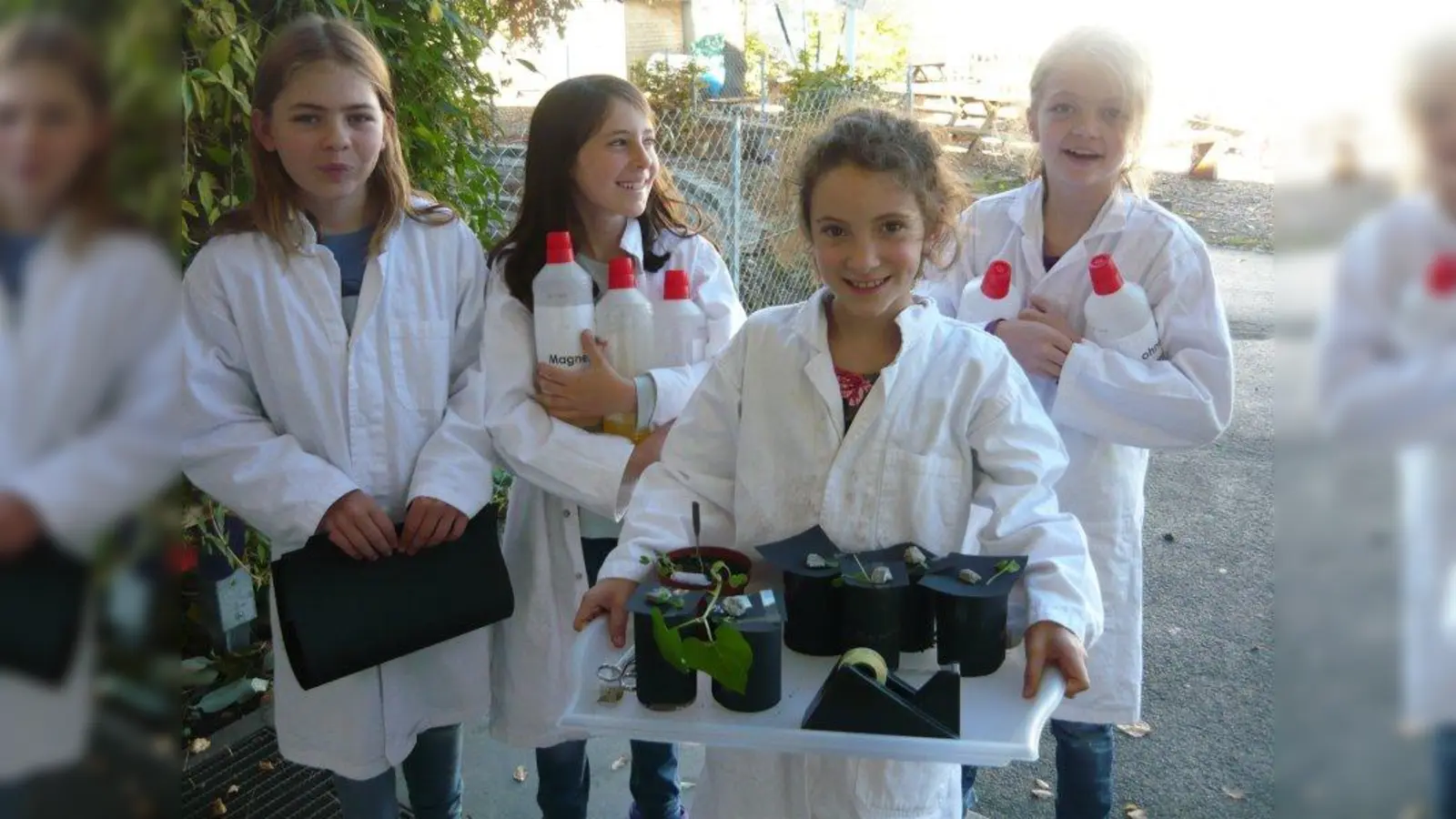 Anhand von Experimenten lernen die Schüler die Gesetzmäßigkeiten der Natur kennen. (Foto: Montessori-Schule Inning)