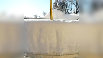 Die Messstelle des Deutschen Wetterdienstes am Olympiapark verzeichnete am Samstag (2. Dezember) nachmittags 46 cm Schneehöhe - mehr wurde in München in einem Dezember bislang nie gemessen (die Aufzeichnungen reichen aber nur bis in die 1930er Jahre zurück). Danach sackten die Schneemassen langsam zusammen - am Morgen des 1. Advents waren es bei unserer „Messstelle” im Münchner Norden noch 38 cm. (Foto: job)