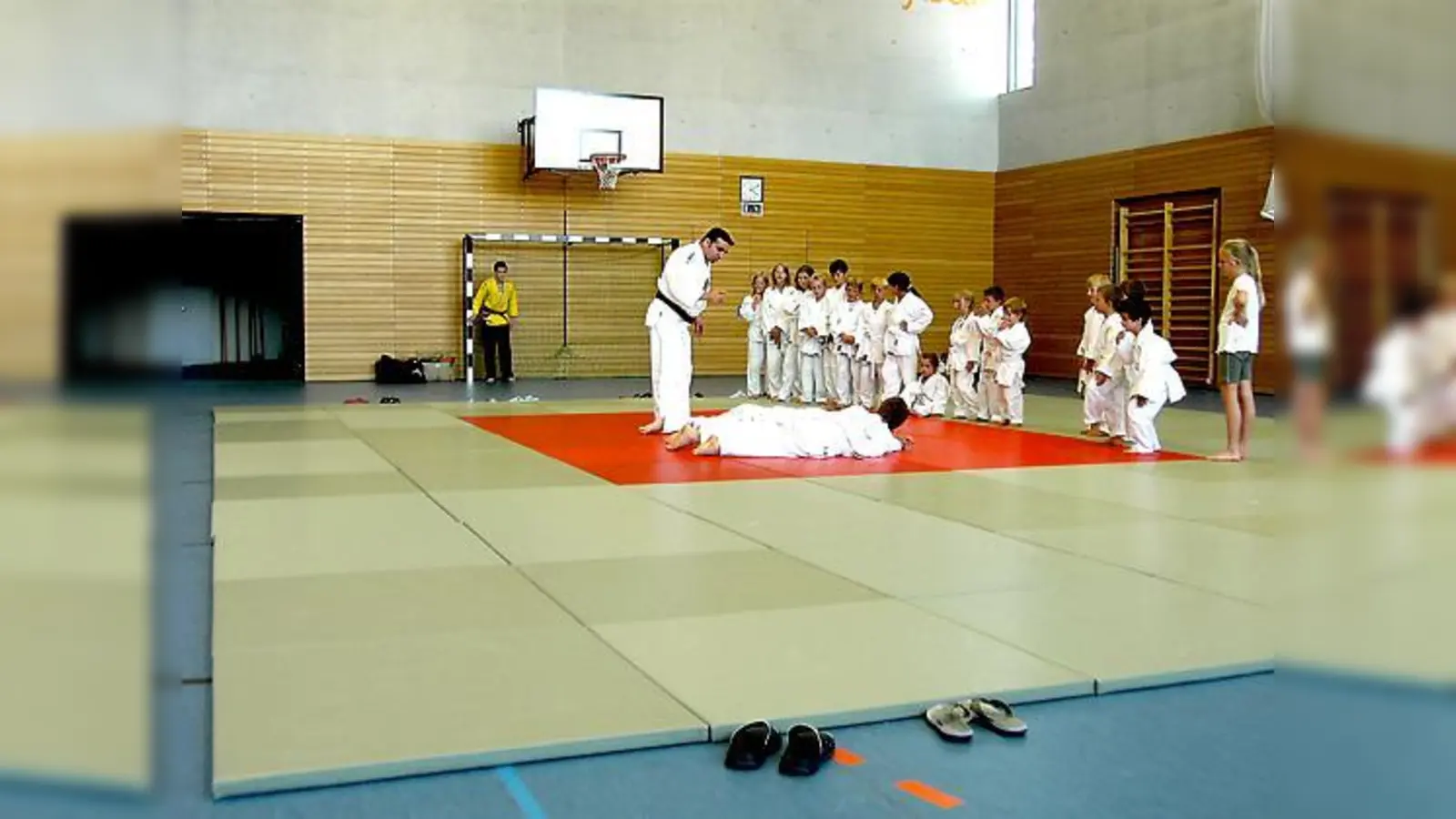 Beim Probetraining kann man einen ersten Eindruck vom Judo-Sport gewinnen.	 (Foto: VA)