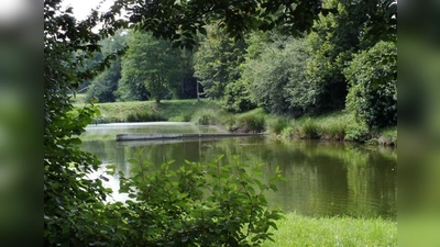 Der größte Teich der Kläranlage »Thal« steht vielleicht bald für eine »öffentliche Nutzung« zur Verfügung. Das kann viel heißen, baden inklusive.	 (Foto: kw)