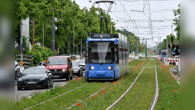 Die neue Linie: Den am stärksten genutzten Abschnitt der Neubaustrecke zwischen den Haltestellen Fürstenrieder Straße und Laimer Platz nutzen werktäglich über 4.500 Fahrgäste. (Foto: SWM/MVG)