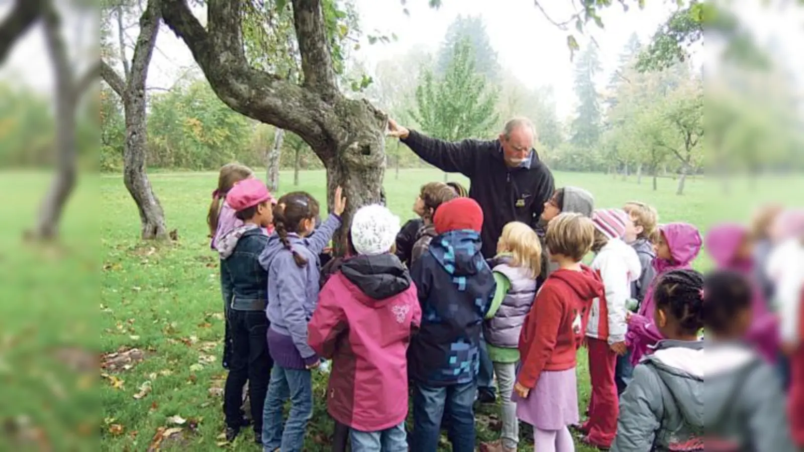Gespannt verfolgten die Kinder, was Wolfgang Girstenbreu über Streuobstwiesen erzählte.	 (Foto: VA)