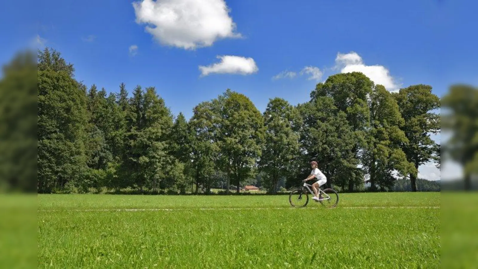 Auf dem M-Wasserweg können Wanderer und Radfahrer die Besonderheiten der Haglandschaft Gotzing entdecken. (Foto: SWM/Leder)