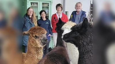 Stefanie Otterbein, Kathrin Loder, Gabriele Kuhn und Georg Weigl (von links) und einige Alpakas freuen sich über die Urkunden. (Foto: Bruggerhof)