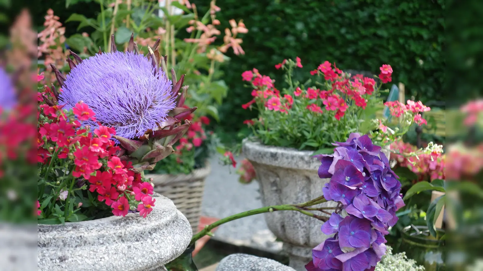 Schönes für Haus und Garten kann man beim Flohmarkt unter Bäumen finden. (Foto: hw)