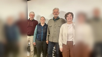 Diskutierten über mögliche Lösungsansätze: Gerd Mulert, Dr. Lisa Bock, Herbert Gebauer, Melanie Kude (v. l.).  (Foto: Anja Kiemle)