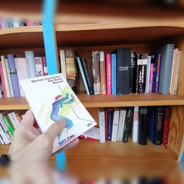 Marlen Haushofers biografisch lesbare „Wand” im Bücherschrank von der Gethsemanekirche. (Foto: job)