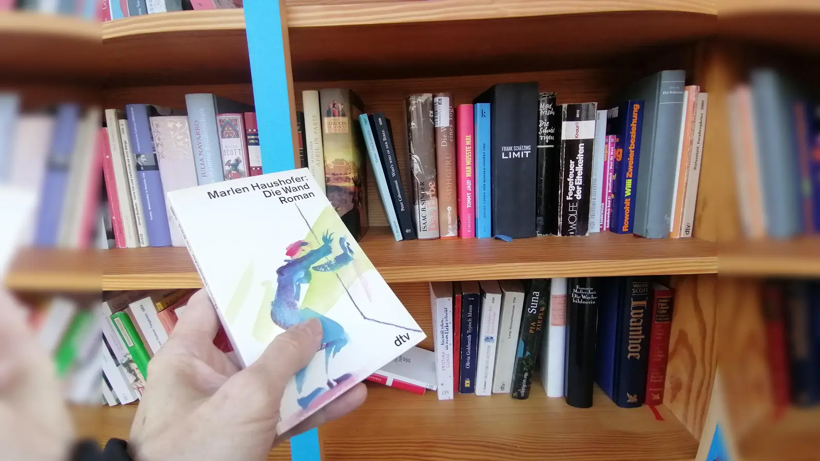 Marlen Haushofers biografisch lesbare „Wand” im Bücherschrank von der Gethsemanekirche. (Foto: job)