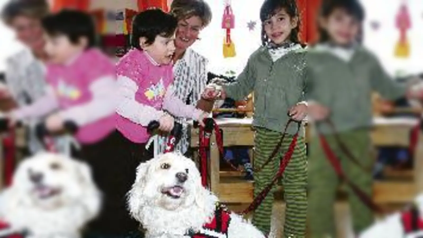 Zamperl-Besuch im Konduktiven Förderzentrum: Links: Miriam (li.) und Tamara (re.) machen mit Flocke und Einrichtungsleiterin Zsuzsanna Balazs (Mitte) einen Spaziergang.  (Fotos: ak)
