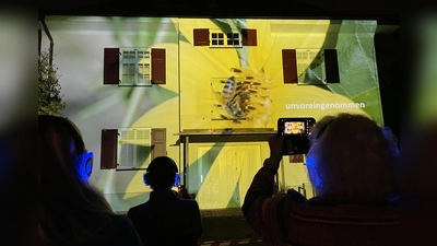 Die Fassade des Wersonhauses dient als Projektionsfläche für eine Videoinstallation zum Thema „Schicksal”. (Foto: pst)