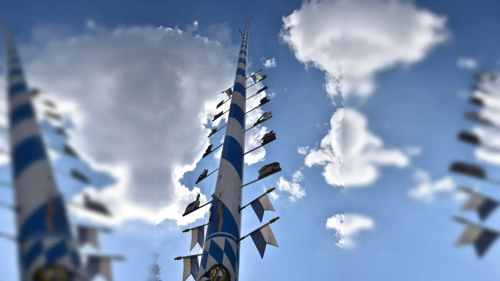 Meistens alle vier Jahre wird der Maibaum neu aufgestellt. Hat er Risse, muss er schon früher weg. (Foto: Hauck)