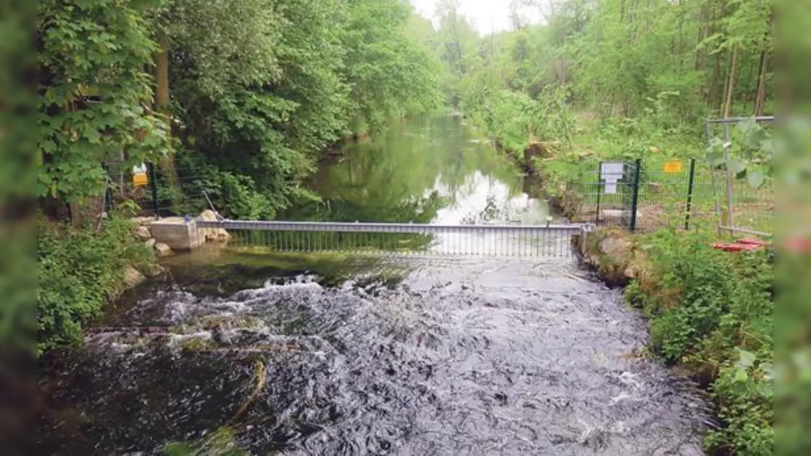 Das Gitter ist vor kurzem im Seebach, auf Höhe der Dorfstraße, eingebaut worden.	 (Foto: Gemeinde Ismaning)