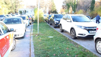 Der Grünstreifen in der Hinterbärenbadstraße soll bepflanzt werden. Die Stadtverwaltung hat dazu schon Pläne. (Foto: job)