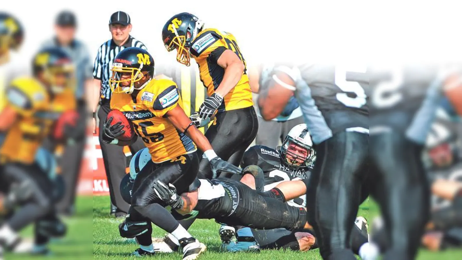 Die Munich Cowboys spielten vergangenes Jahr die stärkste Saison seit zehn Jahren. 	 (Foto: Peter Roth)