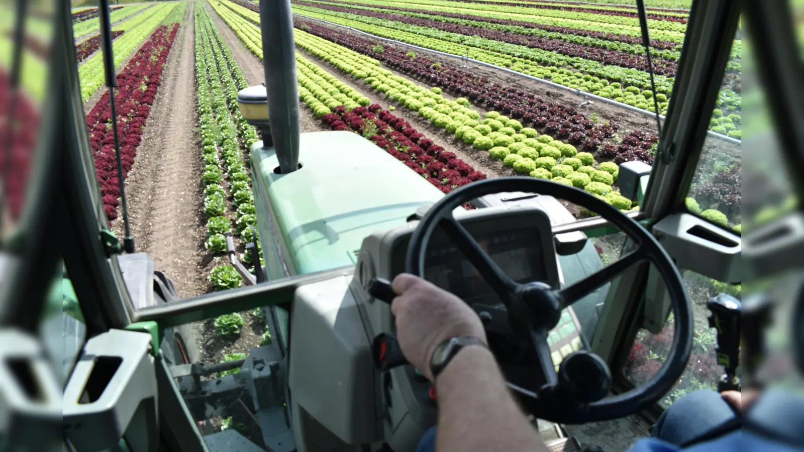 Die SEM Nordost ist heftig umstritten, hat aber auch einige Befürworter.a (Foto: dm/Archiv)