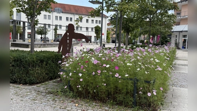 Bäume und Pflanzen spenden Schatten und kühlen die Umgebung ab.  (Foto: pst)