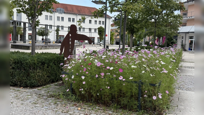 Bäume und Pflanzen spenden Schatten und kühlen die Umgebung ab.  (Foto: pst)
