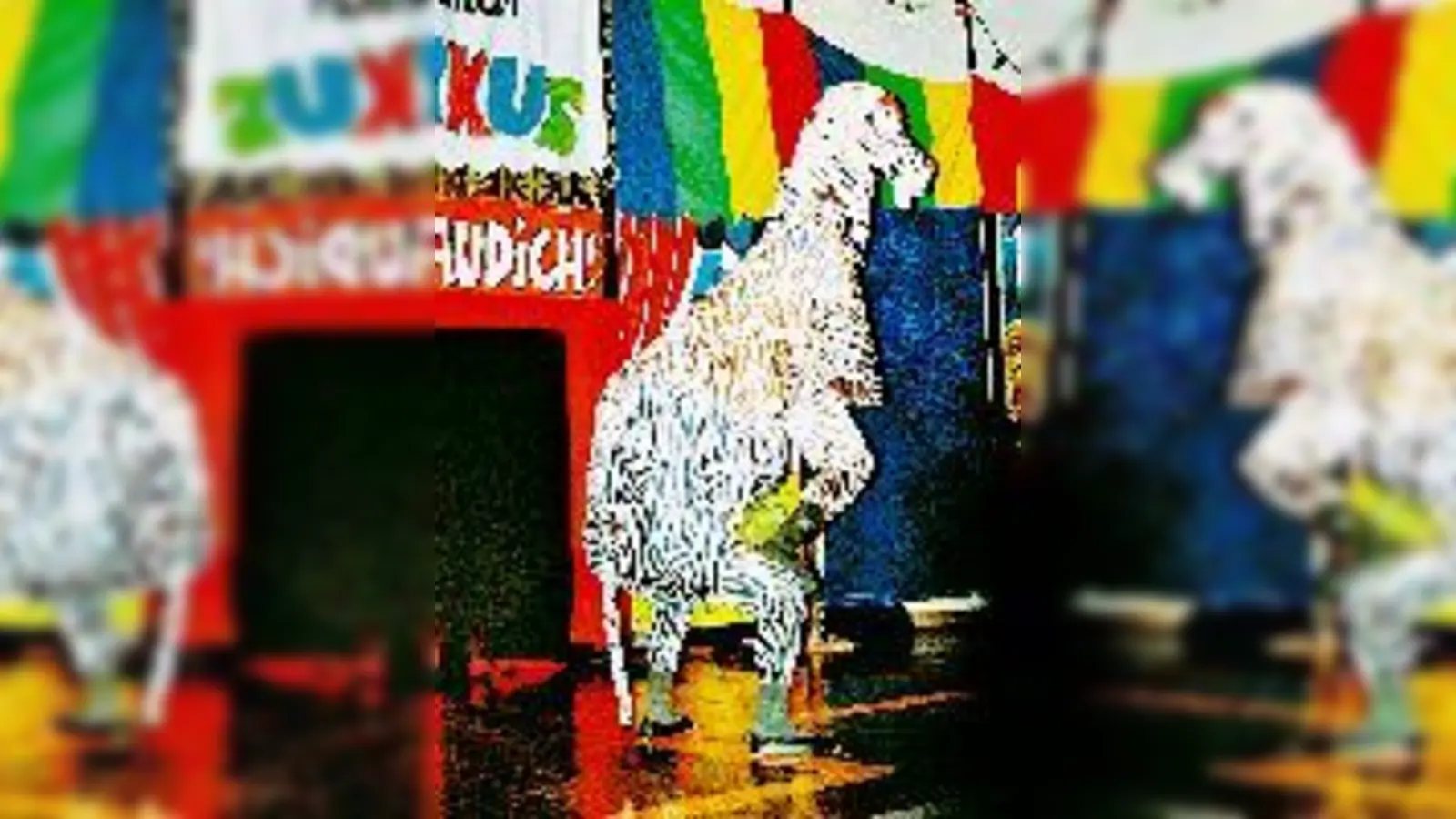 Bei den Vorstellungen des Zirkus Trau Dich gehts bunt zu.	 (Foto: Privat)
