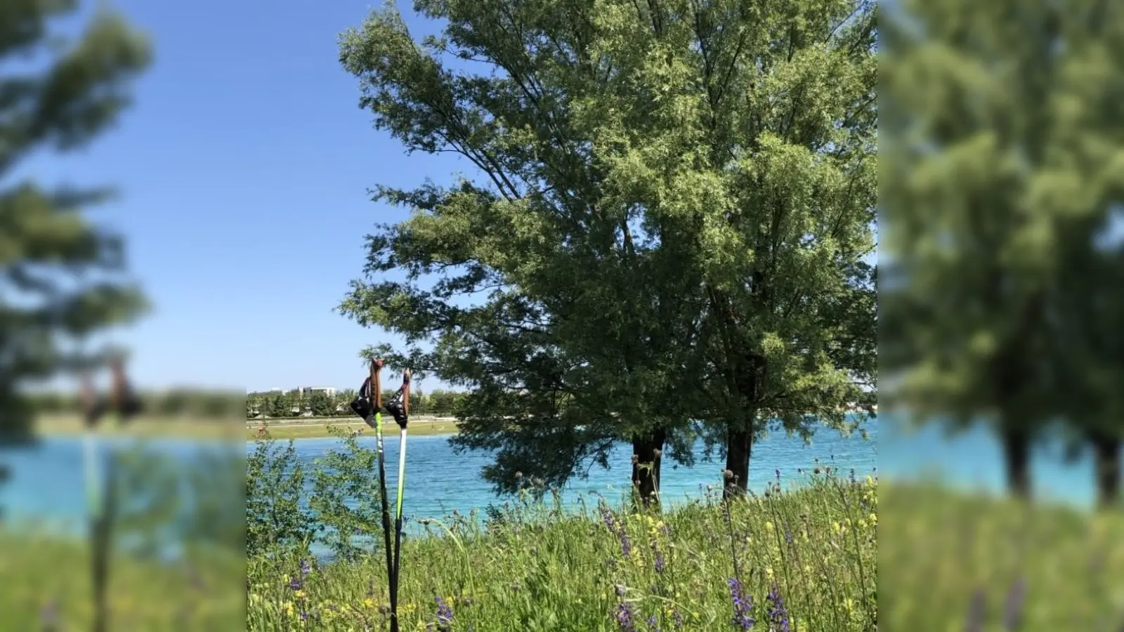 Im 14-tägigen Rhythmus kommen Trauernde zusammen, um sich in der Natur zu bewegen – mit oder ohne Stöcke. (Foto: VA)