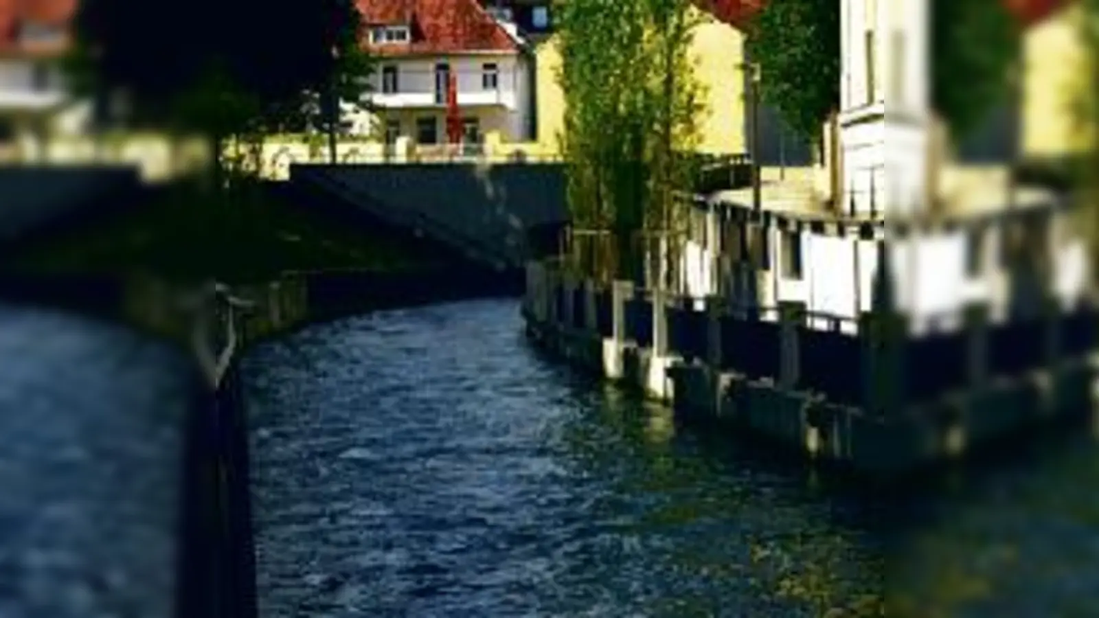 Lebensader der Au: Der  (Mühlbach.Foto: VA)