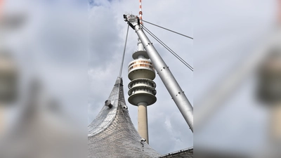 Klettern wird olympisch: Passt ein Hochseilgarten in den Olympiapark hinein? (Foto: dm)