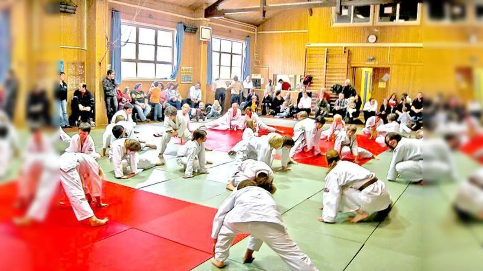 Judo macht Spaß, bringt Kondition und schult die Koordination.	 (Foto: VA)