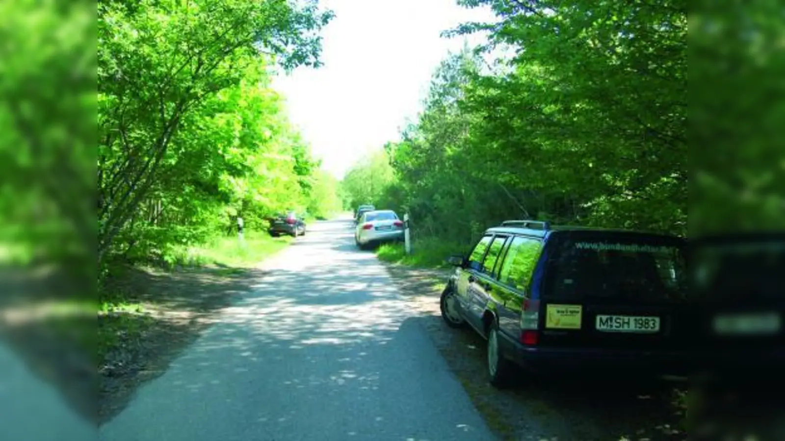 Das Falschparken in der Allacher Heide hat ein Ende - die Obere Allee darf nördlich der Ludwigsfelder Straße nur noch von Anliegern und land- und forstwirtschaftlichem Verkehr befahren werden. (Foto: Hans Jocham (Archiv))