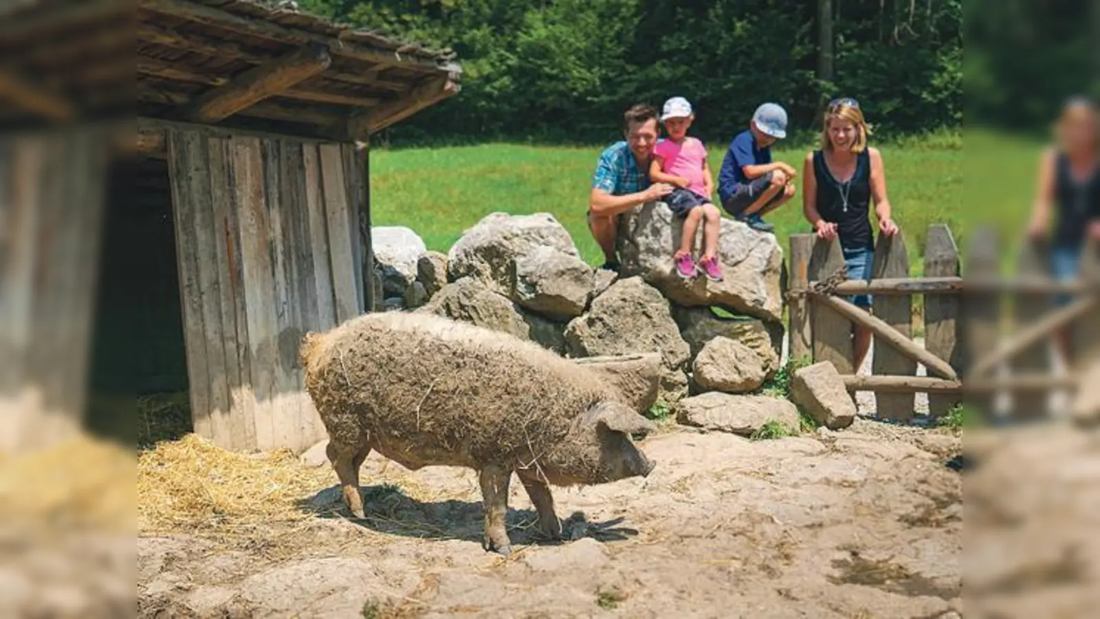 Entspannung mit der ganzen Familie.	 (Foto: Dietmar Denger)